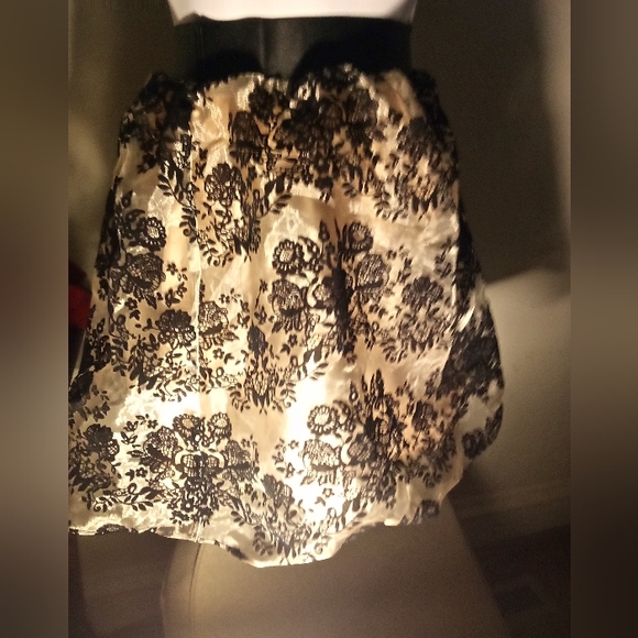 Express Mini Skirt - Picture 11 of 16